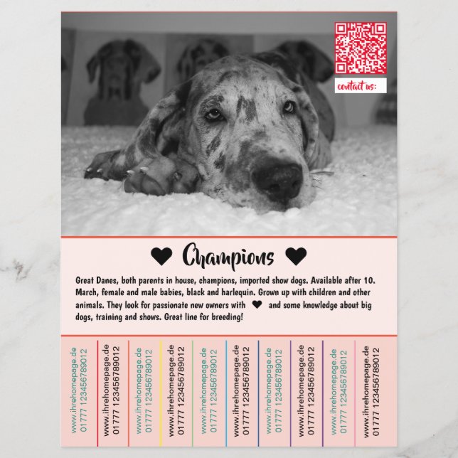Dane Welpen Flyer verkaufen (Vorne)