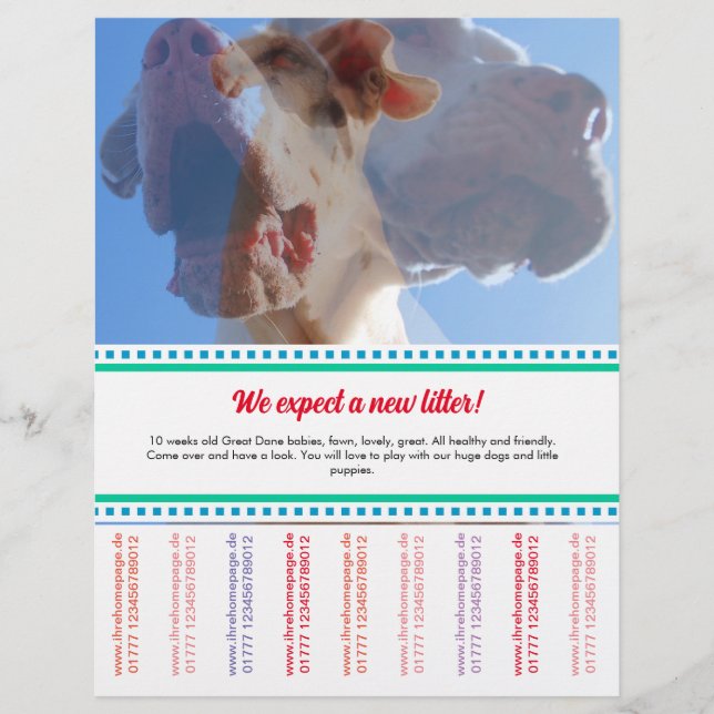 Dane Welpen Flyer verkaufen (Vorne)