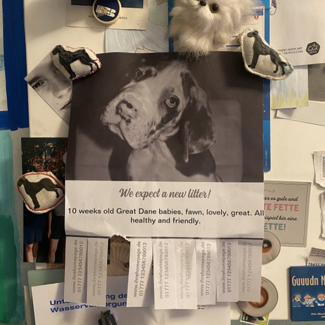 Dane Welpen Flyer verkaufen (Von Creator hochgeladen)