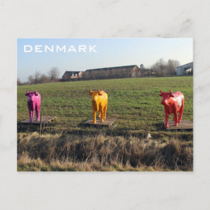 Dänemark farbenfrohe Kühe Postcard! Postkarte