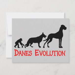 Dänen Evolution