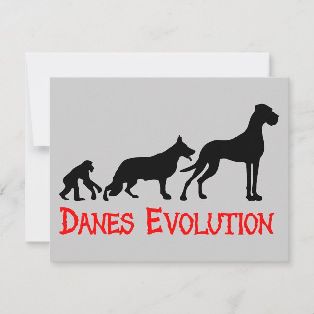 Danes Evolution (Vorderseite)