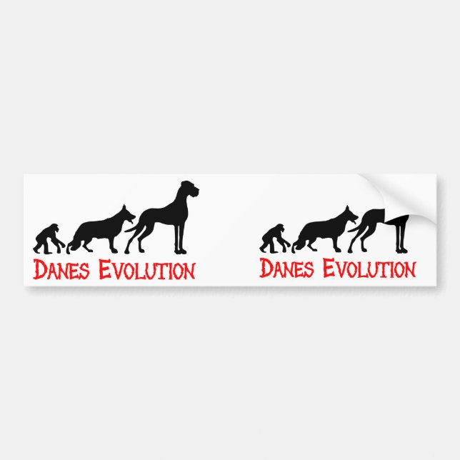 Danes Evolution Autoaufkleber (Vorne)