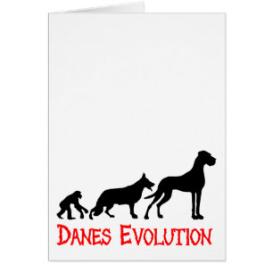 Danes Evolution  Evolution der Deutschen Dogge