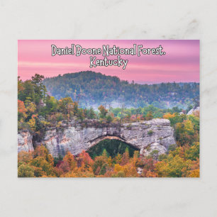Daniel Boone National Forest Kentucky Postcard Postkarte