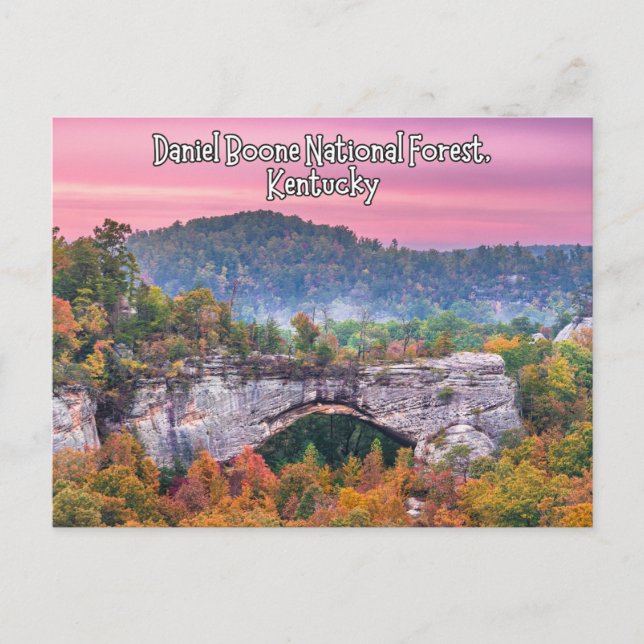Daniel Boone National Forest Kentucky Postcard Postkarte (Vorderseite)