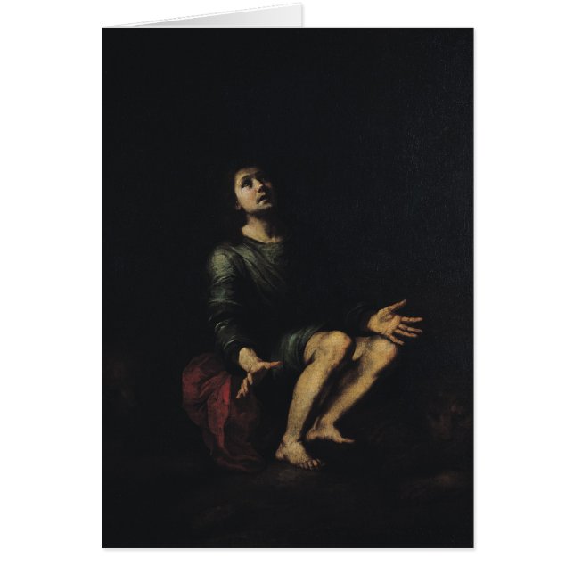 Daniel in der Höhle 2 der Löwen (Vorne)