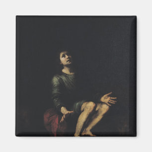 Daniel in der Höhle 2 der Löwen Magnet