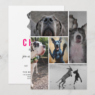 Dänische Dogge Einladung