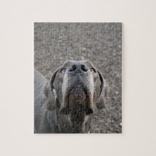 Dänische Dogge Puzzle