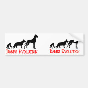 Dänische Evolution Autoaufkleber