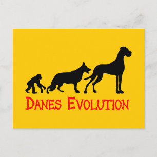 Dänische Evolution Postkarte