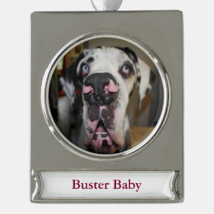 Dänischer Dogge-Schmuck Banner-Ornament Silber