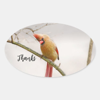 Dank ovaler Aufkleber