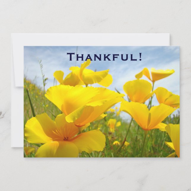 Dankbar! Einladungs-Gewohnheit erbietet das Dankeskarte (Vorderseite)