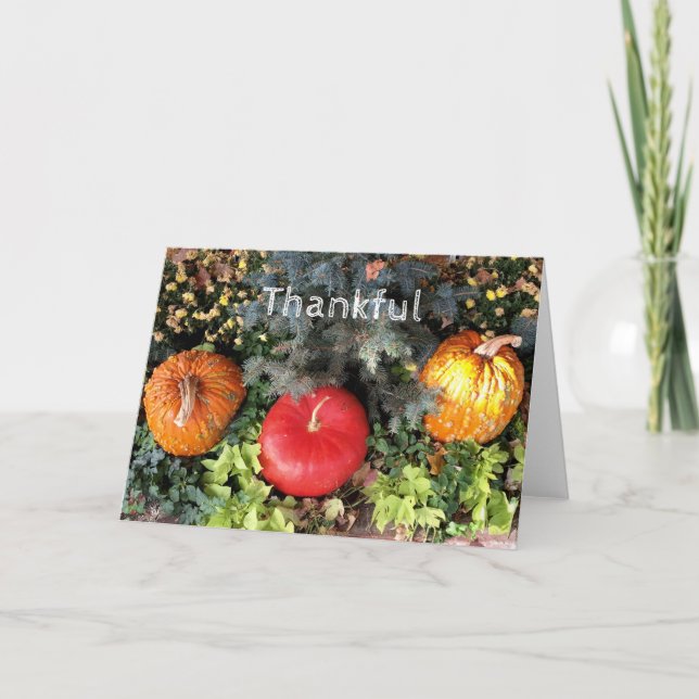 dankbar feiertagskarte (Vorderseite)