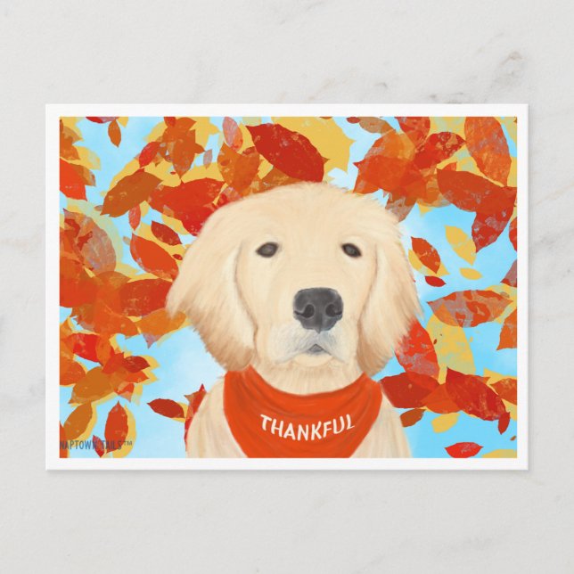 Dankbar - In meine Lebenspostkarte fallen Postkarte (Vorderseite)