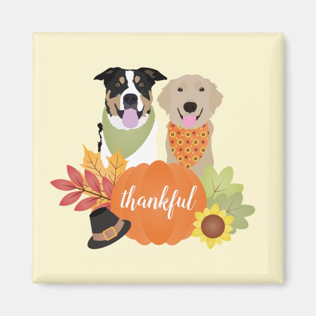 Dankbare Hunde Erntedank Harvest Pumpkins Magnet (Vorne)