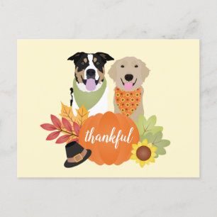 Dankbare Hunde Erntedankfest Kürbisse Postkarte