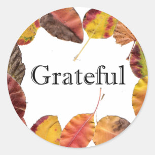 Dankbare Typografie im Herbst Runder Aufkleber