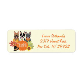 Dankbarer französischer Bulldogs-Erntedank