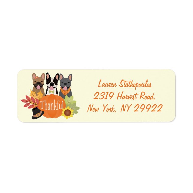 Dankbarer französischer Bulldogs-Erntedank (Vorne)