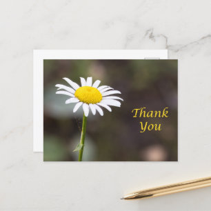 Dankbarkeit Blooms: Ein wilder Daisy Vielen Dank Postkarte