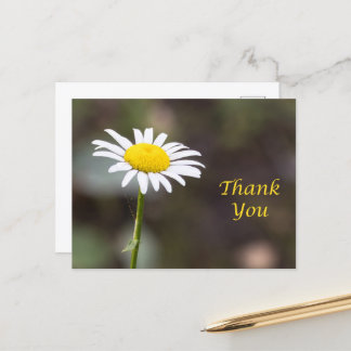 Dankbarkeit blüht: Eine wilde Daisy Dankeschön Postkarte