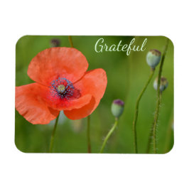 Dankbarkeit für hübsches Rotes Mohn Magnet