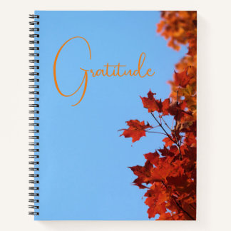 "Dankbarkeit" Red Maple Blätter Blue Background Notizbuch