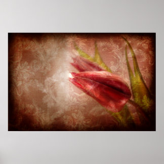 Dankbarkeit Überfließend (Tulip Art Poster) Poster