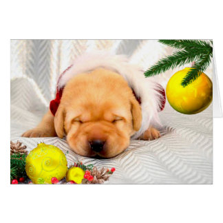 Dankbarkeitswoche 2 Gelb