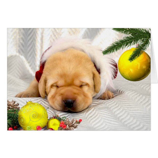 Dankbarkeitswoche 2 Gelb (Vorderseite (Horizontal))