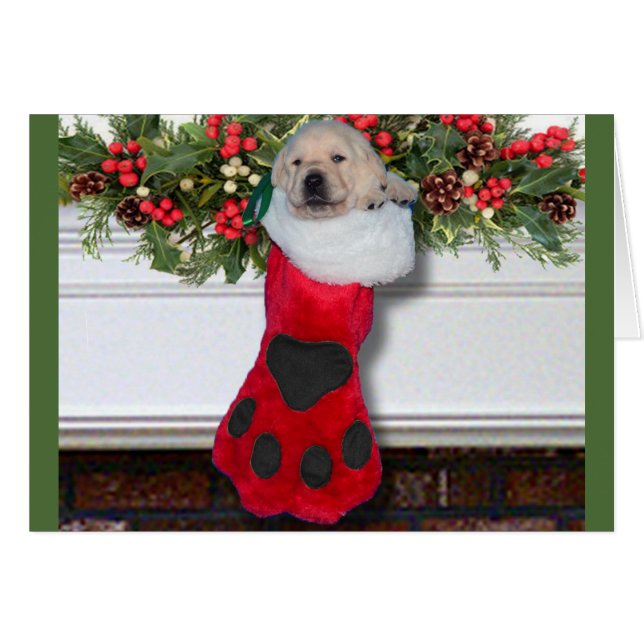 Dankbarkeitswoche 3 Schwarzes (Vorderseite (Horizontal))