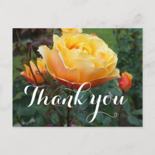 Danke About Face Rose #2 Postkarte