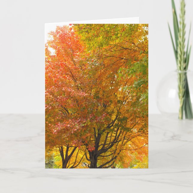 Danke an einen Veteran, DSCF8707 (Vorderseite)