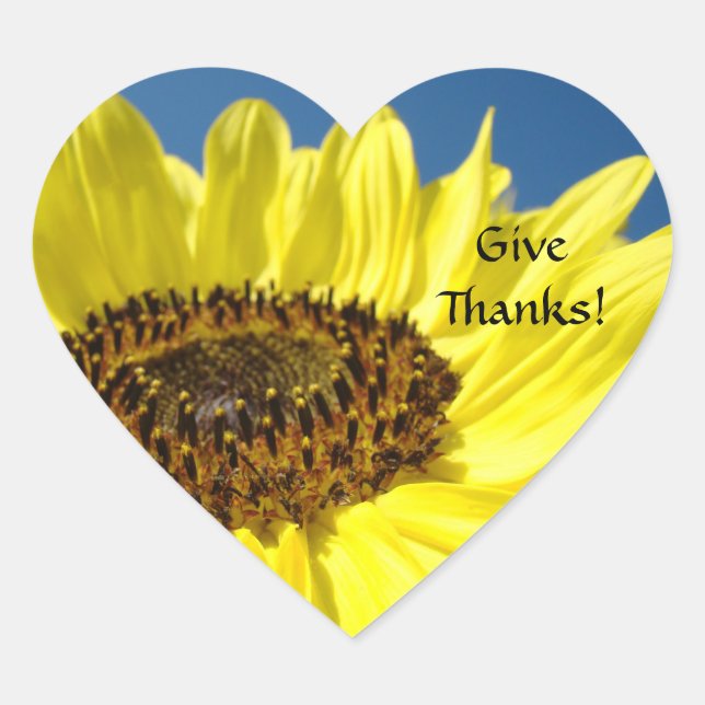 Danke! Aufkleber farbenfrohe Sonnenblume Blue Sky! (Vorderseite)