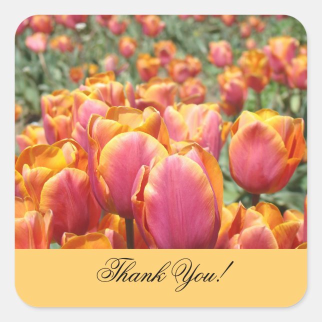 Danke! Aufkleber Pink Orange Tulip Blume (Vorderseite)