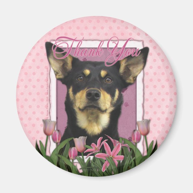 Danke - Australian Kelpie - Jude Magnet (Vorne)