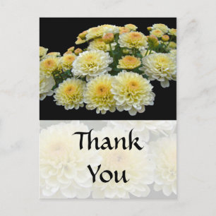 Danke Auto - Lemon Meringue Chrysanthemums Postkarte