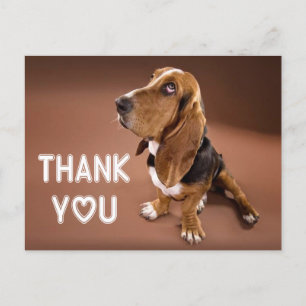 Danke Basset Hound Welpe Dog Brown Postkarte