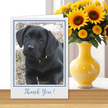 Danke Black Labrador - Niedlicher Welpenhund<br><div class="desc">Vielen Dank und Anerkennung für dieses niedliche Black Labrador Retriever Puppy .</div>