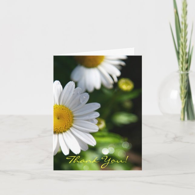 Danke Blank, Daisy (Vorderseite)