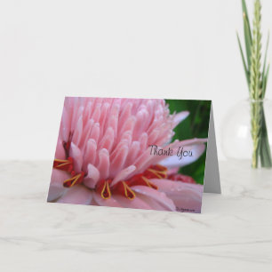 Danke Bloom Me Away Pink Ginger
