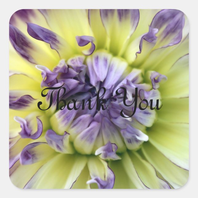 Danke, Blume Stickers (Vorderseite)