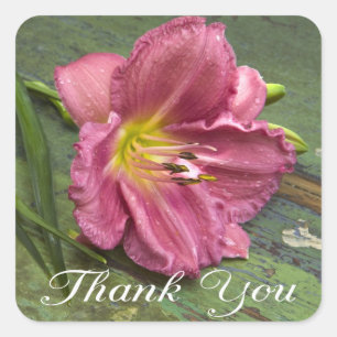 Danke Blumen Pinke Lilienblume Aufkleber