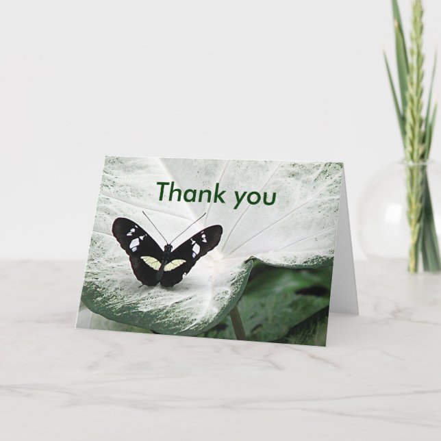 Danke Butterfly (Vorderseite)
