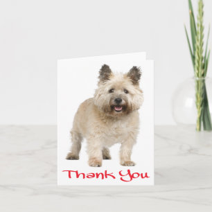 Danke Cairn Terrier Welpe Hund rote Dankeskarten