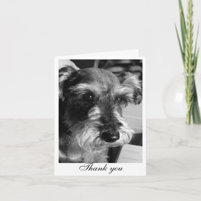 Danke (Charmin) (Vorderseite)