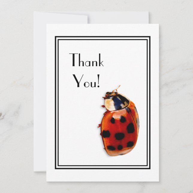 Danke Chic Gepunktet Ladybug Einladung (Vorderseite)